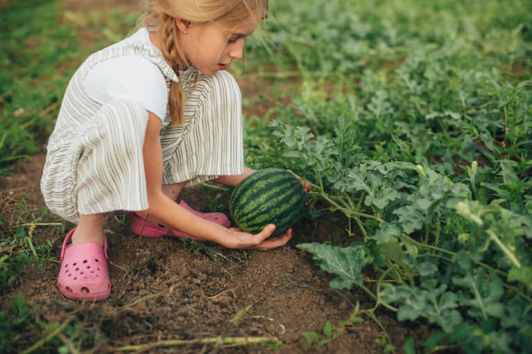 How To Raise The Next Generation Of Healthy (And Eco-Friendly) Eaters