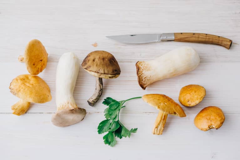 Growing Mushrooms At Home Is Easier Than You Think With Our Newbie Guide