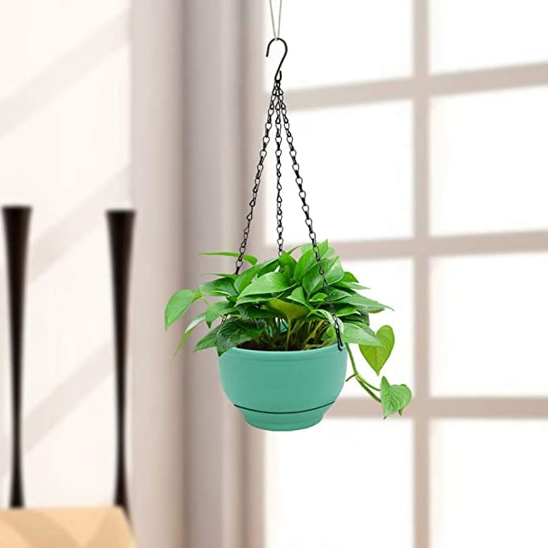 green self-watering planter hanging indoors
