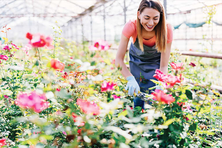 This 2-Second Technique Can Help Flowers Bloom Again & Again
