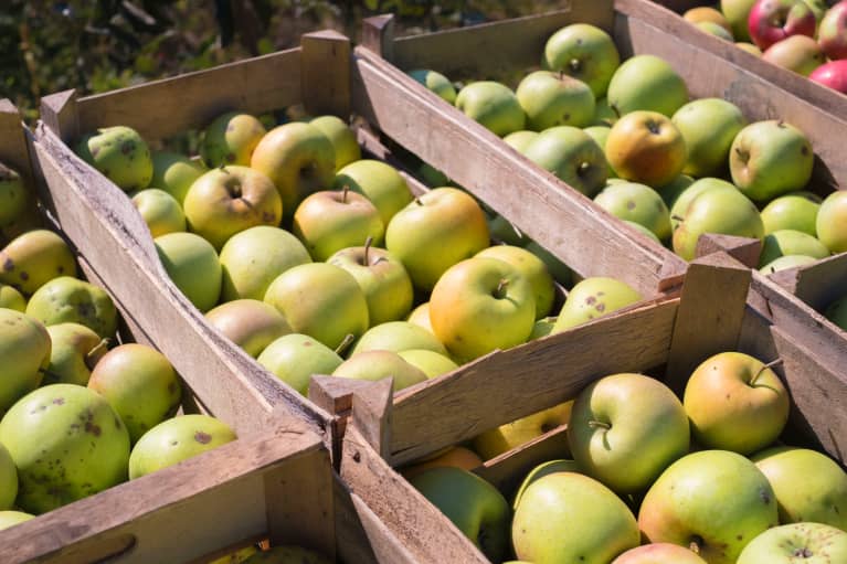 19 Healthy Foods That Could Be Making You Bloated & Constipated