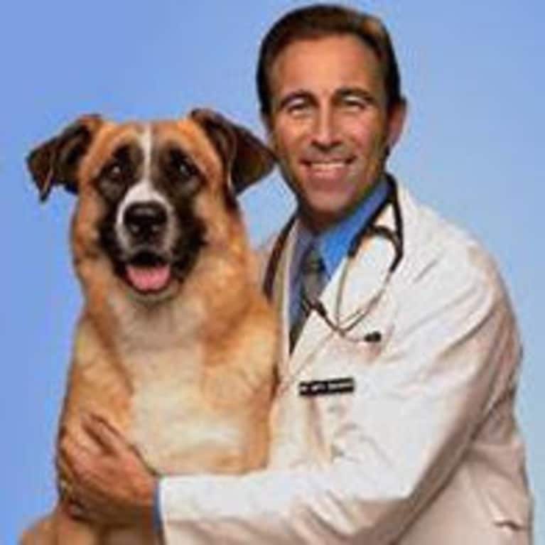 Jeff Werber, DVM Jeff Werber, DVM